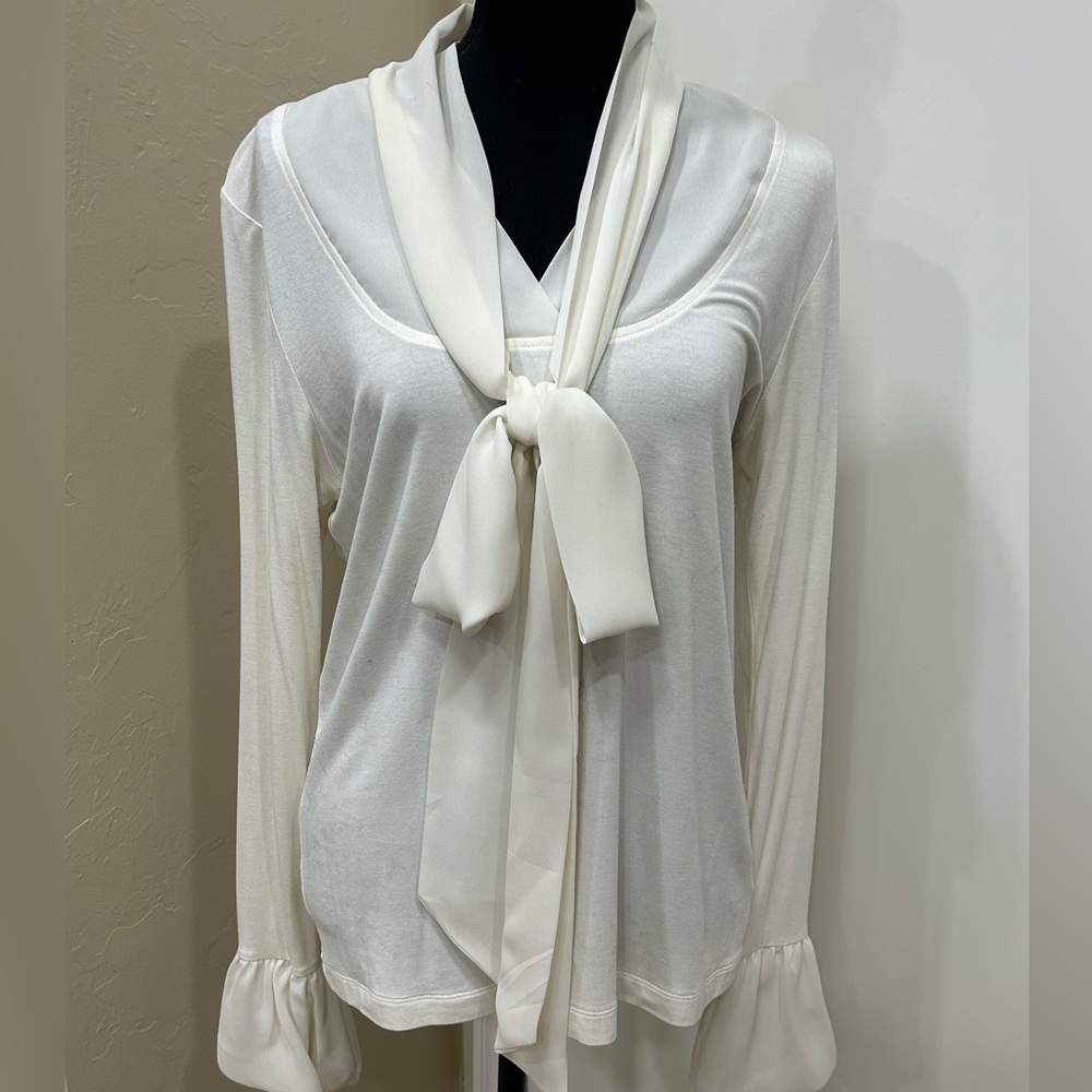 CAbi knit with sheer trim blouse- size large